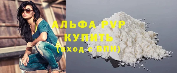 индика Абаза