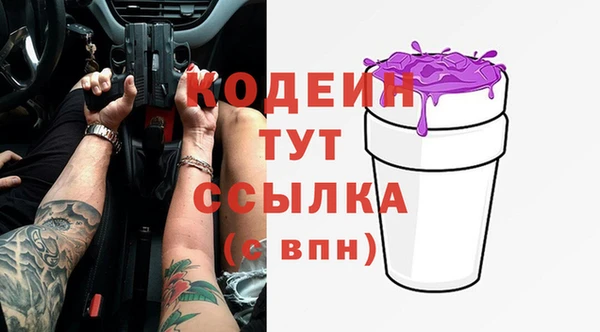 индика Абаза