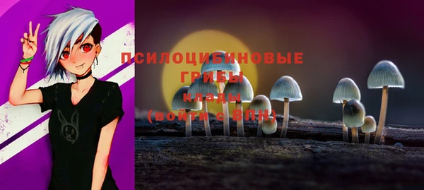 бошки Алзамай