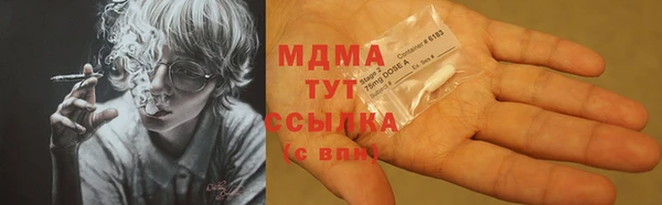 индика Абаза