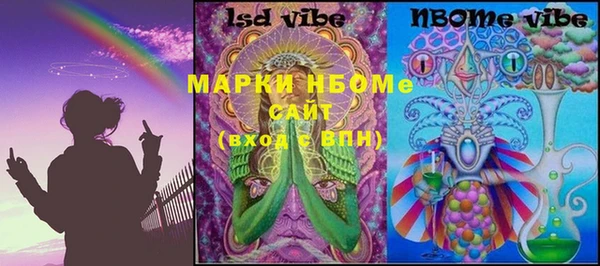индика Абаза