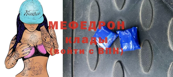 индика Абаза