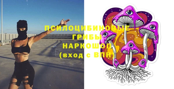 МДПВ Алексин