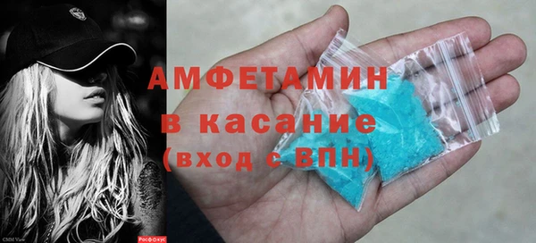 индика Абаза