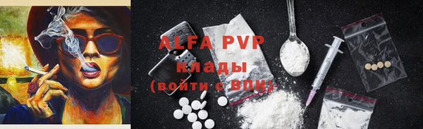 индика Абаза