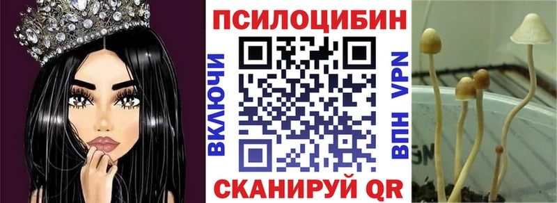 Галлюциногенные грибы ЛСД  где продают   darknet Telegram  Рязань 