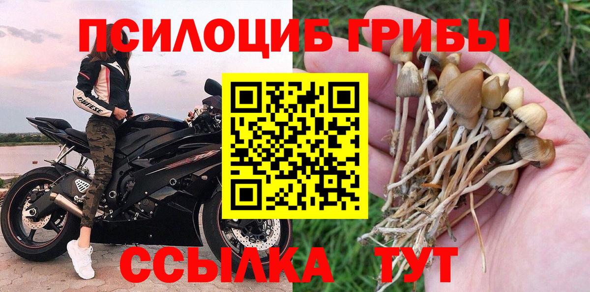 Псилоцибиновые грибы мухоморы Рязань