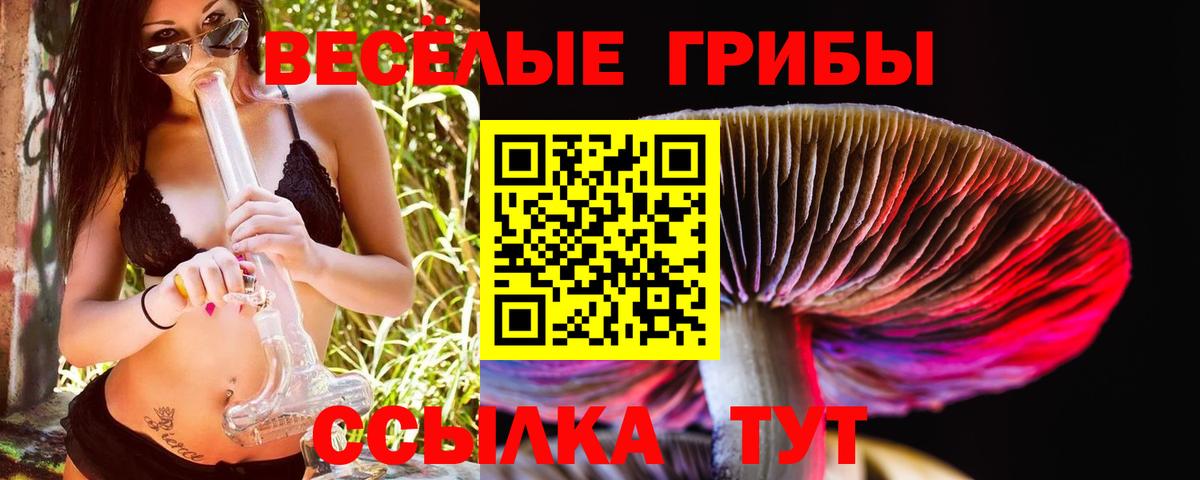 Рязань  Псилоцибиновые грибы мухоморы  Вход с VPN  Псилоцибиновые грибы Magic Shrooms 